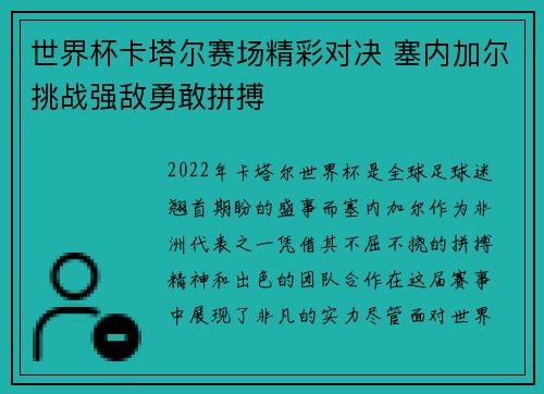 世界杯卡塔尔赛场精彩对决 塞内加尔挑战强敌勇敢拼搏